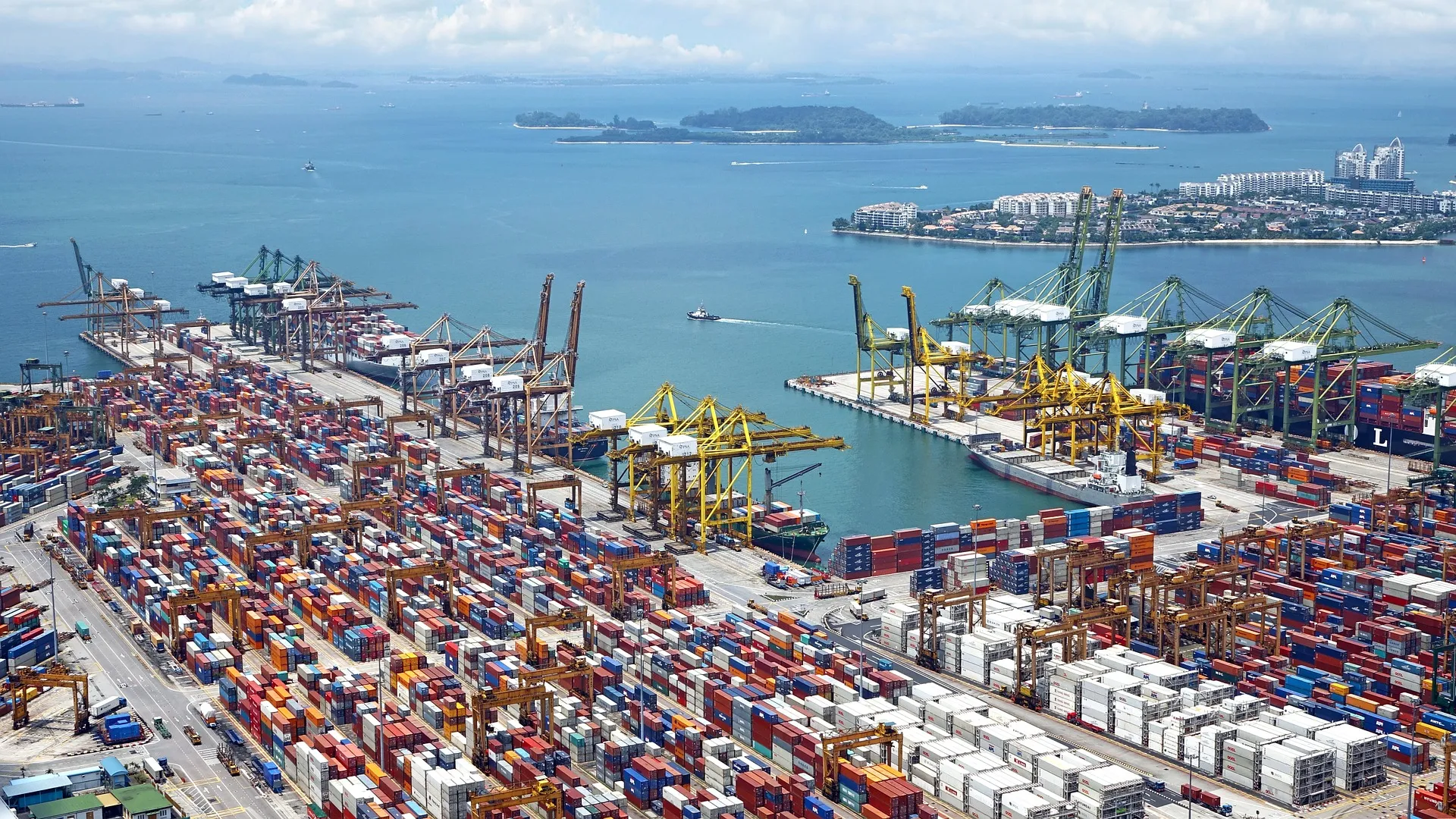 MDR / IVDR: İthalatçı & Distribütör